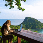 Bali'de Uzaktan Çalışma Hayatı