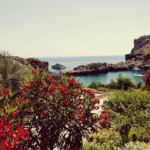 Kanarya Adaları: Avrupa'nın Tropikal Cenneti