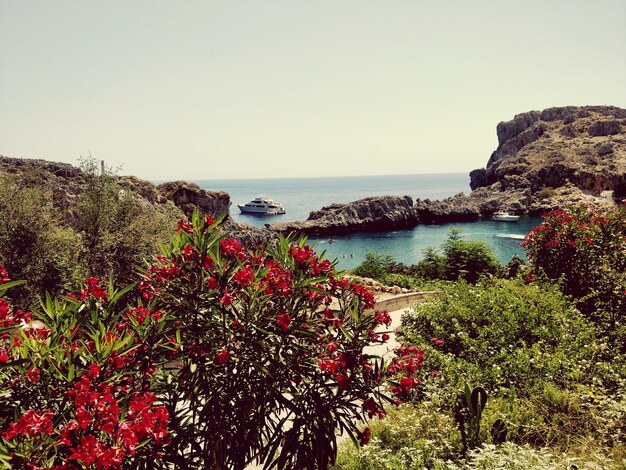 Kanarya Adaları: Avrupa'nın Tropikal Cenneti