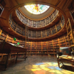 İş Dünyası ve Kariyer Değişimi Kitapları